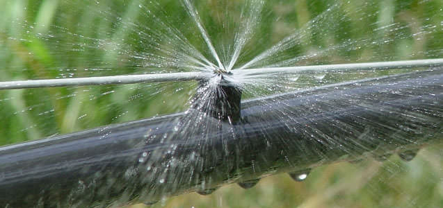 Важно знать первоначальную влажность почвы