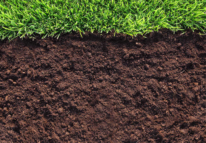 Высокая кислотность понижается известкованием, щелочность почвы (pH > 7,5) устраняется с помощью внесения гипсосодержащих материалов