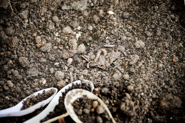 Почва на участках может быть самой разнообразной и по составу иметь в общей массе глину, песок, или гравий