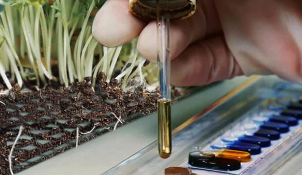 Существует несколько способов определения состава почвы