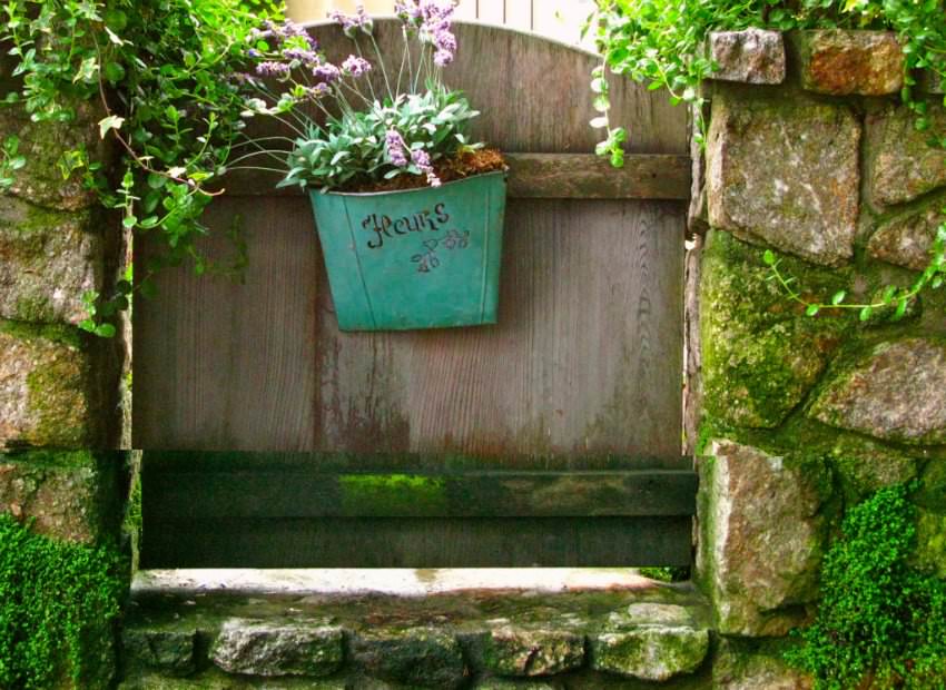 Создаем живой декор дачной калитки самостоятельно