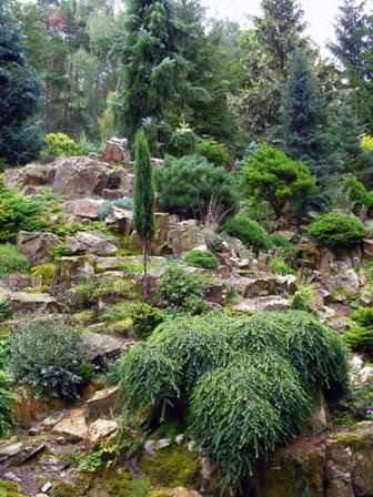 Нюансы выращивания