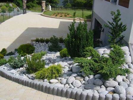 Очаровательные карликовые хвойные в ландшафтном дизайне