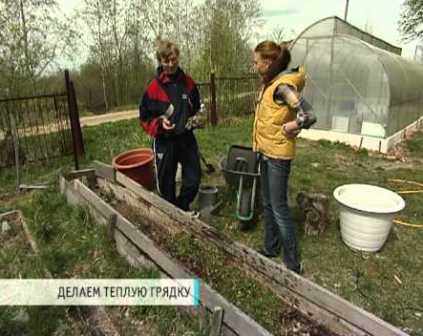 Весной теплые грядки укрывают пленкой