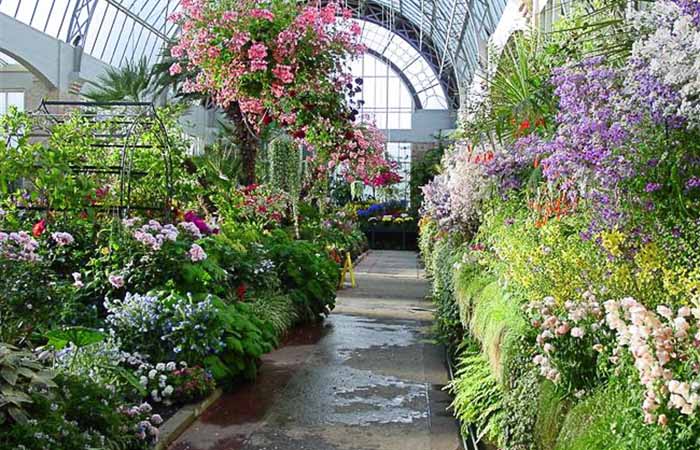В оранжерее зимой температура достигает 5-7 градусов