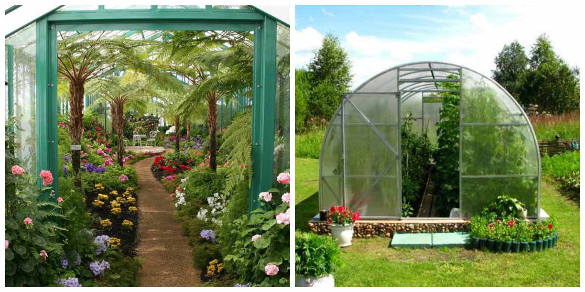 Оранжерея и теплица отличаются друг от друга по нескольким признакам