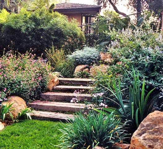 В ландшафтном дизайне часто используются ступени, которые являются переходами между разными рельефными зонами