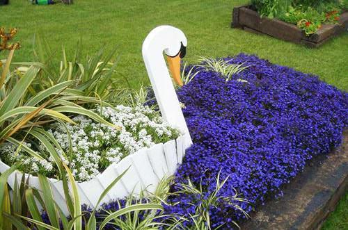 Каждый человек может легко определить сорт лобелии, который ему наиболее подходит