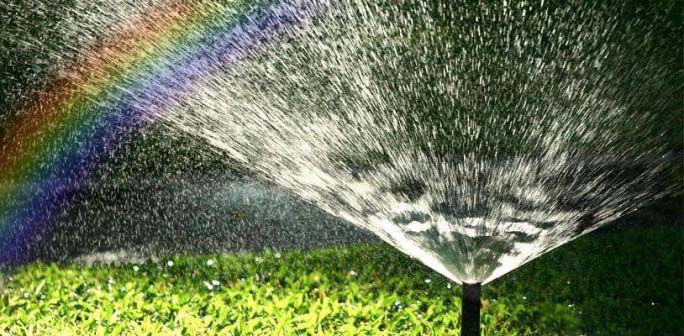 Если почва рассыпчатая, то настало время для полива