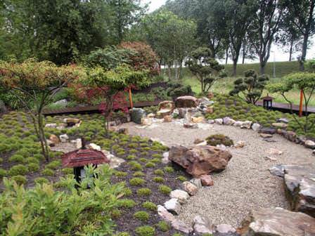 На самом деле мхи (бриофиты) — небольшие споровые стелющиеся либо прямостоящие растения