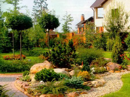 Хорошо и натурально смотрятся на фоне мхов и лишайников серые камни