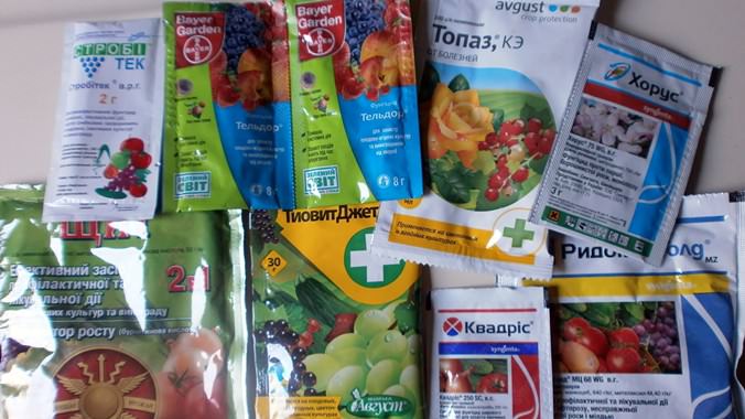 Перед обработкой винограда необходимо определиться с типом используемого препарата