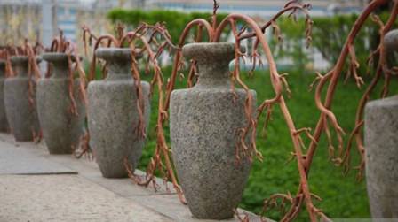 На нашей картинке вы видите амфоры, из которых выходят ветви некого растения