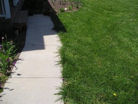 Как происходит обновление дачных дорожек бетонными плитами?