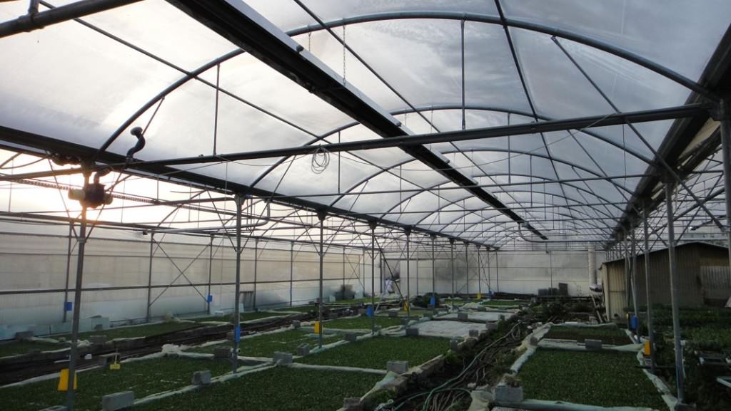 Как правильно выбрать обогреватели для теплиц