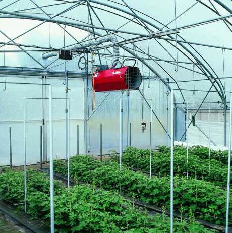 Как правильно выбрать обогреватели для теплиц