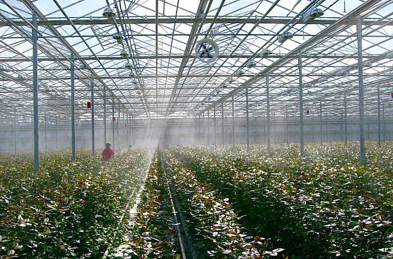 Как правильно выбрать обогреватели для теплиц