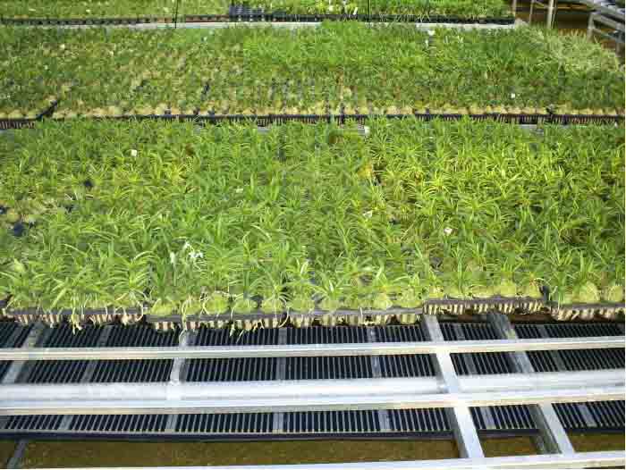 Как правильно выбрать обогреватели для теплиц