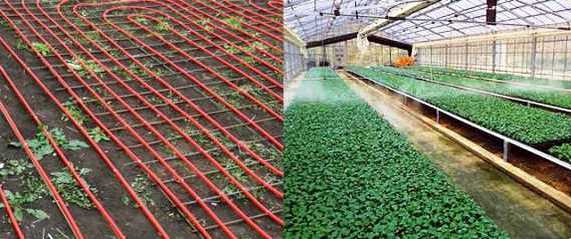 Как правильно выбрать обогреватели для теплиц