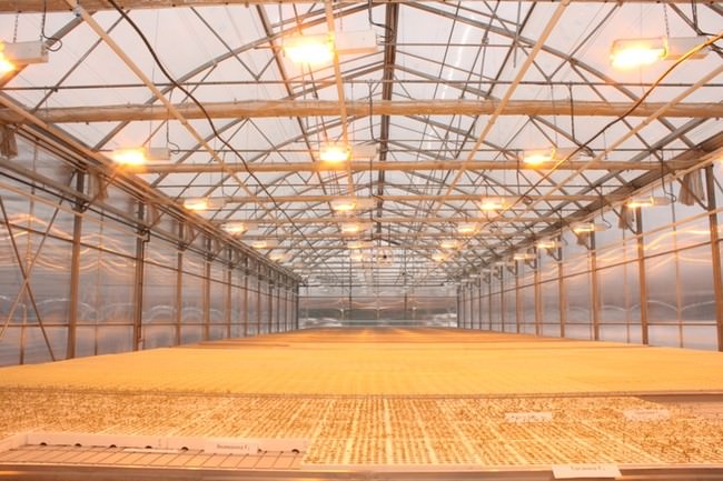 Как правильно выбрать обогреватели для теплиц