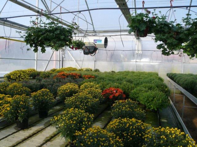 Как правильно выбрать обогреватели для теплиц