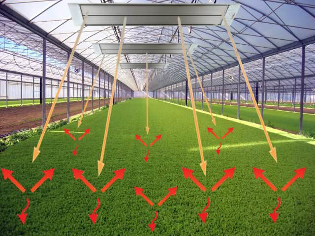 Специалисты и дачники с многолетним стажем утверждают, что обогрев теплицы инфракрасным обогревателем дает нам возможность вырастить куда более стабильный и качественный урожай