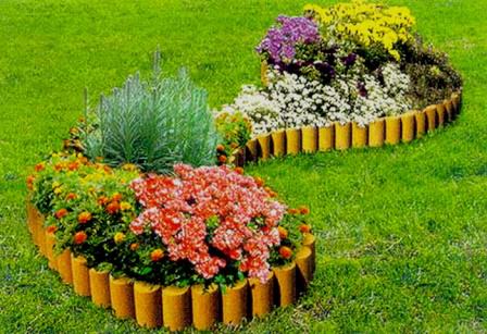 Какие растения наиболее подходят для посадки на клумбах дачного участка?