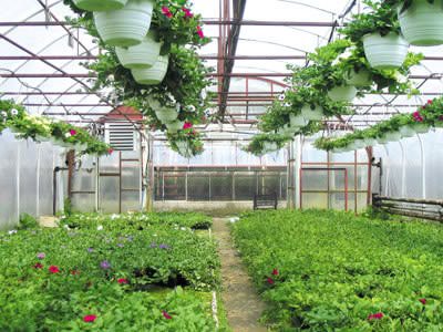 Любая всесезонная теплица требует правильного обогрева