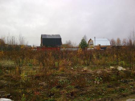 Работа с дачным участком потребует его очистки от мусора и поросли