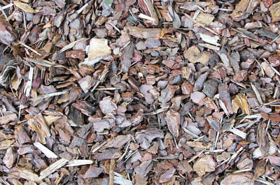 Отсыпка участка корой — отличное решение, имеющее множество преимуществ