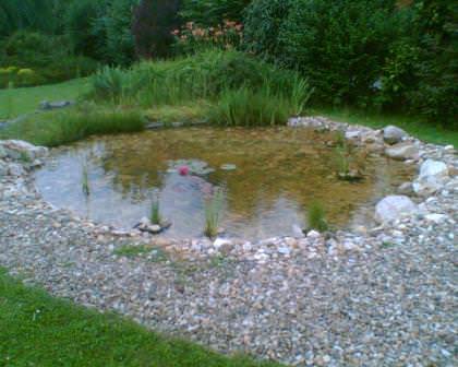 Любой водоем на даче можно привести в порядок, а потому не спешите от него избавляться