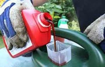 Подкормки очень важны для томатов, но только правильные и своевременные