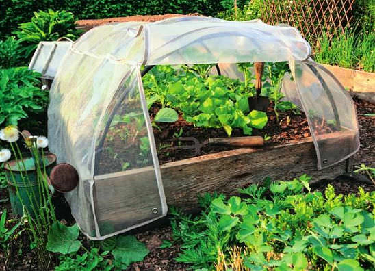 Практичный парник для рассады своими руками