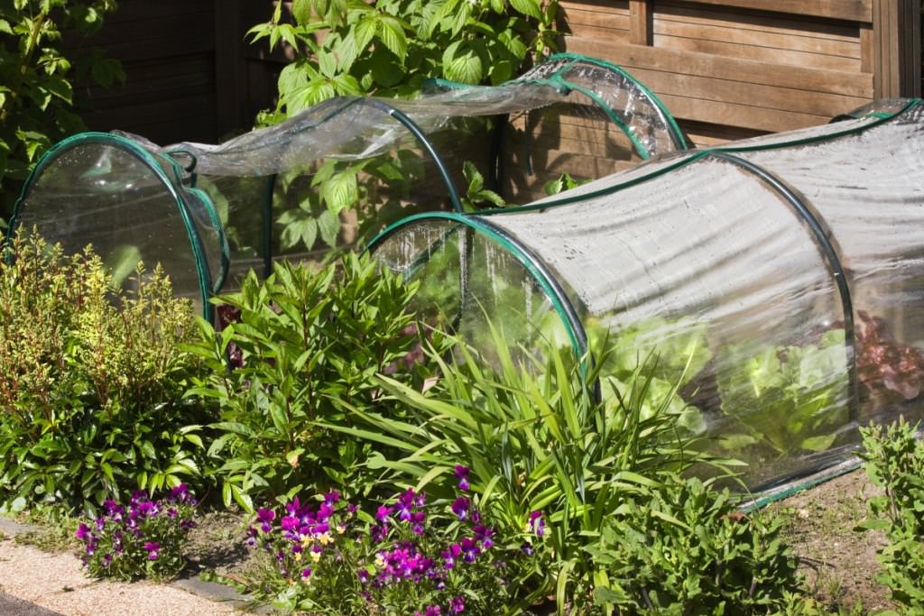 Практичный парник для рассады своими руками
