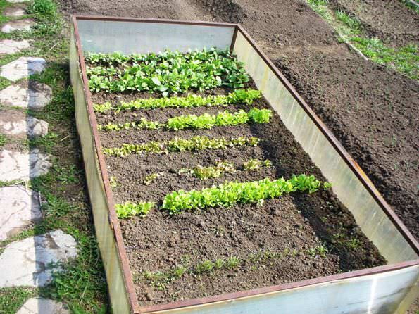 Практичный парник для рассады своими руками