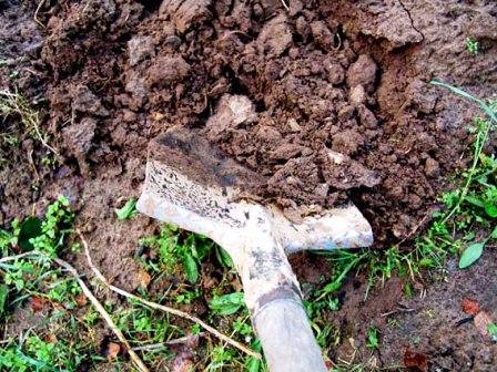 Не забудьте удобрить почву на даче во время осенней перекопки