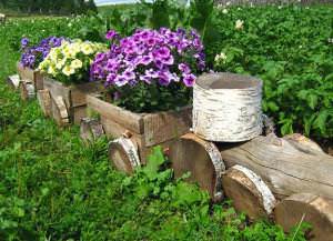 Не забывайте о декорировании участка, что очень важно!