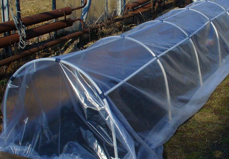 Пленка ПВХ отличается хорошей светопропускной способностью — более 90%, способностью пропускать более 80% ультрафиолетового излучения и задерживать около 95% инфракрасного излучения