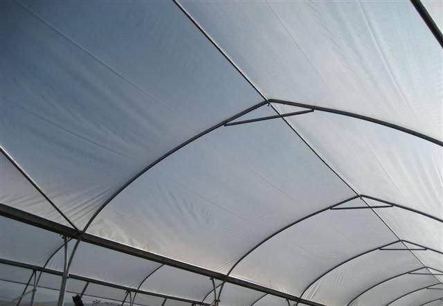 В набор многолетних пленок входят и сополимерная пленка, и вспененная, и даже воздушно-пузырьковая пленка, которая предназначена для использования только в определенных условиях