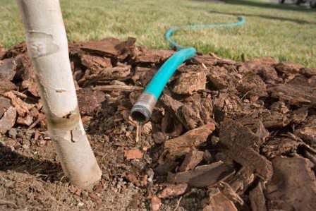 Осенний полив сада для зарядки деревьев влагой: правила, особенности, нормы