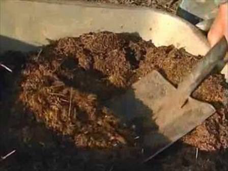 Удобрение плодового сада — важный этап его подготовки к зиме