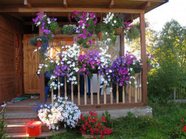 Подвесные сады могут стать некой преградой для солнечного света