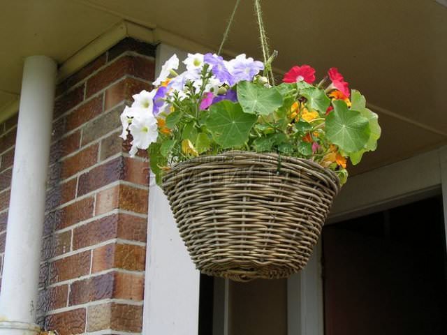 Крепление фрагментов подвесного сада может происходить на потолок, стену, специальные шпили и подставки