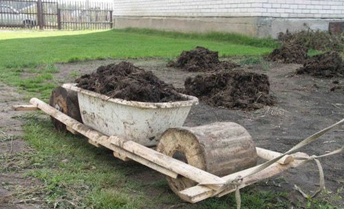 Оригинальная тачка для домашнего хозяйства и строительства