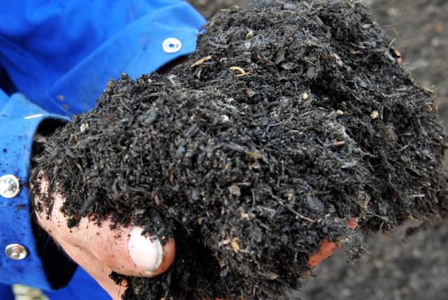 Нижние слои соломы на грядках становятся дополнительным удобрением, что также огромный плюс