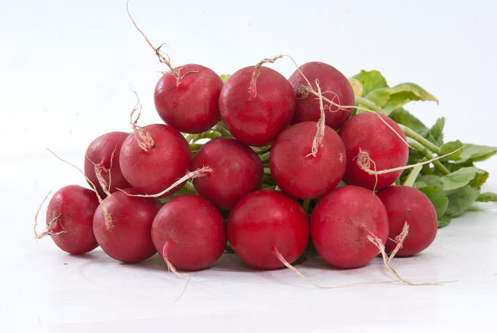 Высевать редис следует по схеме, где между рядами будет расстояние в 8 см, а в ряду между посадкой – около 3-4 см