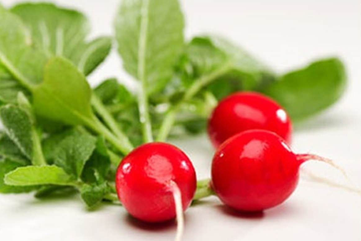 Для отапливаемых теплиц сроки посадки ориентируют на январь