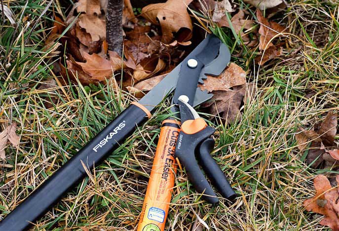 От качества инструмента зависит не только правильное проведение обрезки, но и сроки, за которые дерево сможет восстановиться