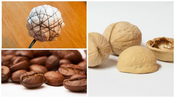 После того как будут подготовлены все компоненты, можно собирать топиарий из грецких орехов