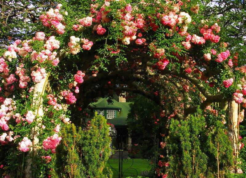 Романтический стиль в ландшафтном дизайне